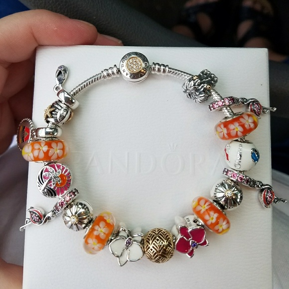 Meet your Posher, Sherry - Picture 2 of 3